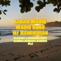 Scheibosan´s Liquid Radio/FM4 Lockdowntempo # 2