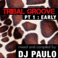 DJ PAULO - TRIBAL GROOVE - Pt 1 (EARLY) Spring 2018