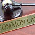 Idiots Guide To Common Law – Part 1 – Will Keyte