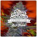 THC (Turntablised Herbalist Culture) Viva Sativa 4/20 2012 mix