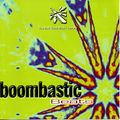 Boombastic_Baselines_&_Mindblowing_Beats__mixed_by_BLaCKTRoJA