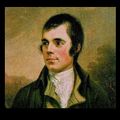 Celebrating Robbie Burns on This Week with Penny  - 20th January 2023