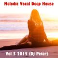 Melodic Vocal Deep House Vol 3 2015 (Dj Peter)