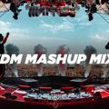 Party Mix 2021 - Best EDM Electro House Festival Mashup & Remix Party Dance Club Mix