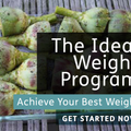 Robb Wolf, Stephan Guyenet, and Dan Pardi Talk About the Ideal Weight Program