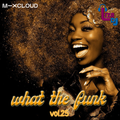 what the funk vol.25