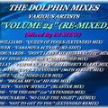 THE DOLPHIN MIXES - VARIOUS ARTISTS - ''VOLUME 24'' (RE-MIXED)