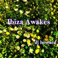 Ibiza Awakes