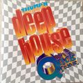 Thump'N Deep House Quick Mixx Vol. 2 - 90s latin house circa 1996