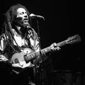 Bob Marley & The Wailers live  Palais Des Sports Dijon France  10   Juin 1980