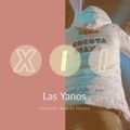 Las Yanos #12 (Amapiano Mix)