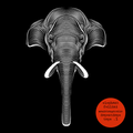 elephant fellini - dopestdope tape #1