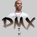 THE BEST OF DMX 4SHO