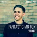 FERAL by Fantastic Mr Fox