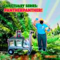 Sanctuary Mix #12: Panther Panther