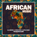 DJ HEAVY ENT - AFRICA NOW MUSIC MIX 2021