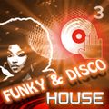 Funky & Disco House [mix 3]
