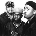 A Tribe Called Quest Megamix (Clean Version)