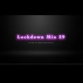 Lockdown Mix 29 (Hip-Hop/R&B)