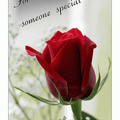 Someone Special  