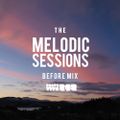 Melodic House : Before Mix - Prototype202