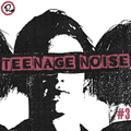 Teenage Noise #3 - Spéciale punk 77!