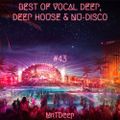 Best Of Vocal Deep, Deep House & Nu-Disco #43 - 21/04/2018