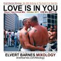 LOVE IS IN YOU Disco / Gay Circuit (The Saint Music) October 2011 Mix