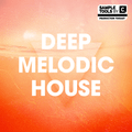 Deep Melodic House Mix 