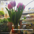 Radio Headway East London - 25-Jun-20