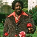 Barry White - Tribute
