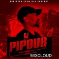 DJ Pipdub - 2021 Mix Session (January)