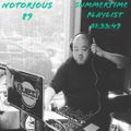 DJ QUEST NOTORIOUS 89 SUMMERTIME PLAYLIST
