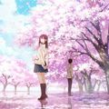 2022 APRIL SPRING MORNING IN BLOSSOM CHILLOUT POP MIX 『恋風邪にのせて』
