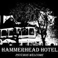 HAMMERHEAD HOTEL feat Falling Mirror, Jack Hammer, The Dolly Rockers, McCully Workshop, Radio Rats