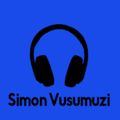 House Music Selection | DJ Mix | SV