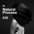 Natural Process #28