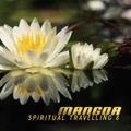 Spiritual Travelling 8