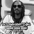 Snoop Dogg Tribute MIX 2022 DJ Sensation