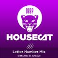 Deep House Cat Show - Letter Number Mix - with Alex B. Groove