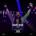 2019 EDM Mix [@DJiKenya]