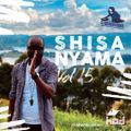 Shisa Nyama Volume 12 by DJ Bankrobber