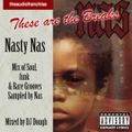 Nasty Nas - These are the Breaks