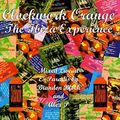 Clockwork Orange - THE IBIZA EXPERIENCE  Alex P Brandon Block 1995