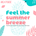 Summer Breeze Warmup (Techhouse/House/Remix)