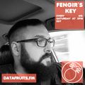 Fengir's Key 02 - datafruits.fm