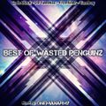 Best Of Wasted Penguinz mixed by OneManArmy (2019)