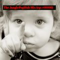 The JanglePopHub Mix (ep #0006) - Editors Fickle Finger