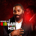 Ginjah - The Reggae Soul Man Album(Bonqie Dj Mixtape)