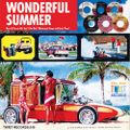 WONDERFUL SUMMER - The Sixties Vocal Surf Pop